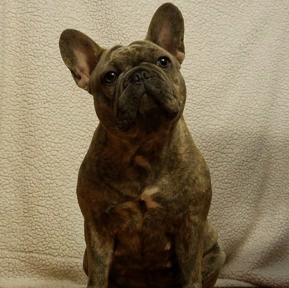 Meet your Posher, Kiku